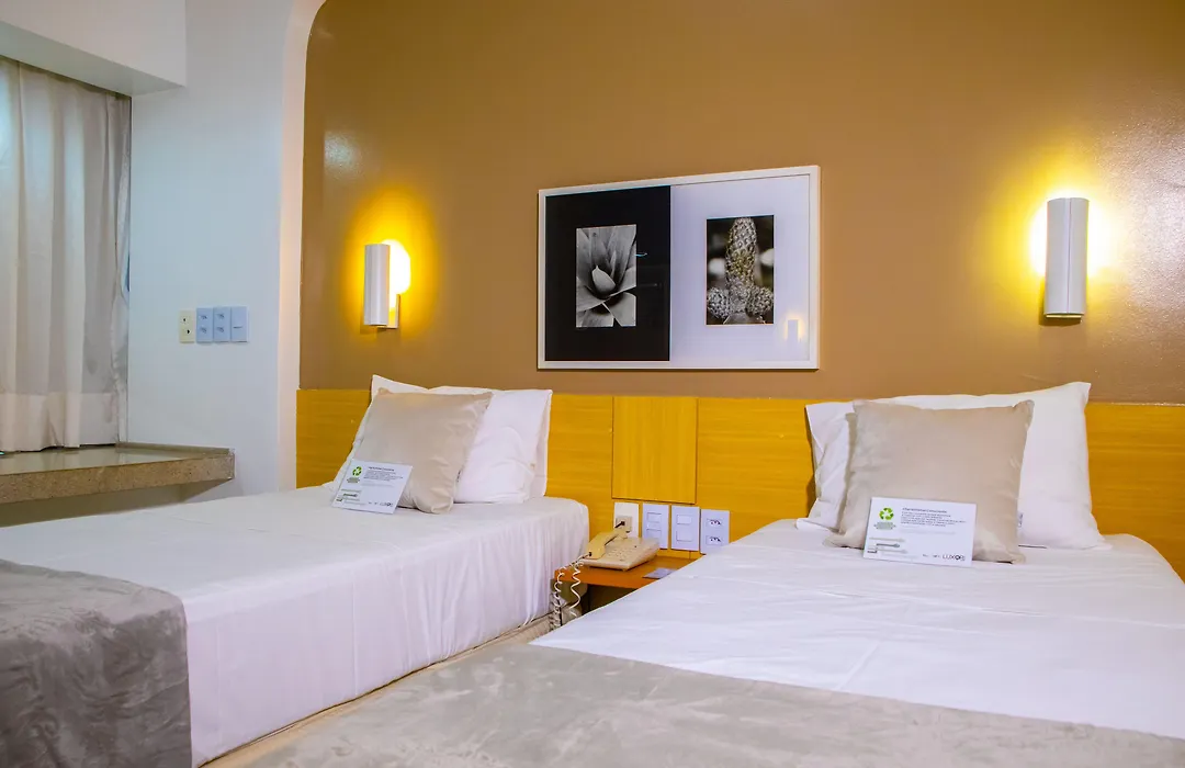 Rede Andrade Luxor-1